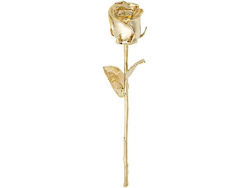 Leonhard echte Rose mit echtem Silber überzogen Valentinstag Geschenk Blume St 