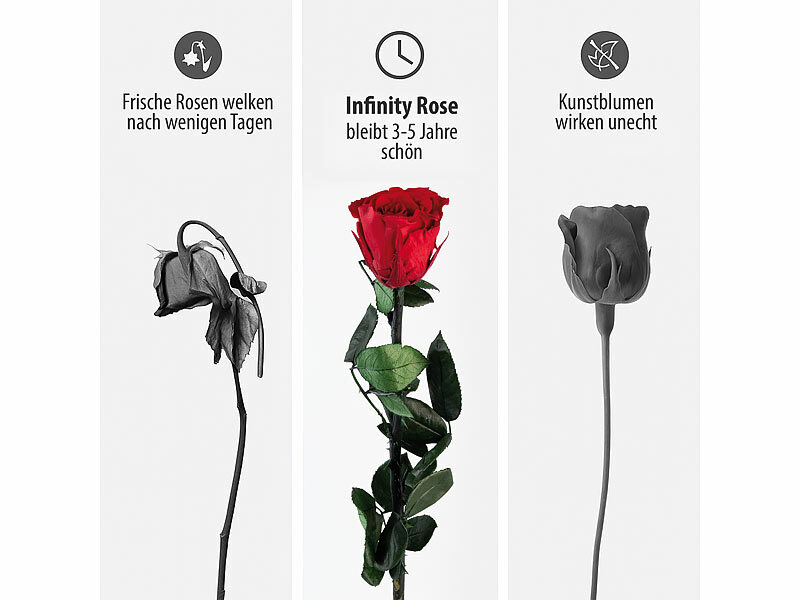 ; Damen Halsketten mit Blattgold-Anhängern Damen Halsketten mit Blattgold-Anhängern Damen Halsketten mit Blattgold-Anhängern