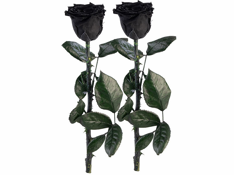 ; Damen Halsketten mit Blattgold-Anhängern Damen Halsketten mit Blattgold-Anhängern 