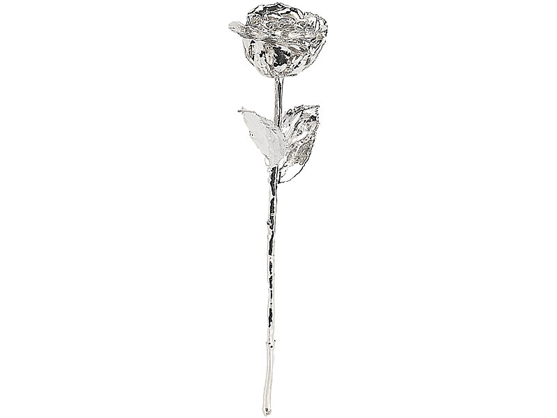 ; Schmuck-Rosen, Silber RosenKonservierte Silber RosenVersilberte RosenSiber-Blume, Geschenk-Idee für Weihnachten, Geburtstage, Valentin, Liebe, Hochzeiten Muttertageechte veredelte Geschenkverpackungen Boxen Schönheit haltbare schöne Geschenkboxen 999er Schmuck-Rosen, Silber RosenKonservierte Silber RosenVersilberte RosenSiber-Blume, Geschenk-Idee für Weihnachten, Geburtstage, Valentin, Liebe, Hochzeiten Muttertageechte veredelte Geschenkverpackungen Boxen Schönheit haltbare schöne Geschenkboxen 999er 