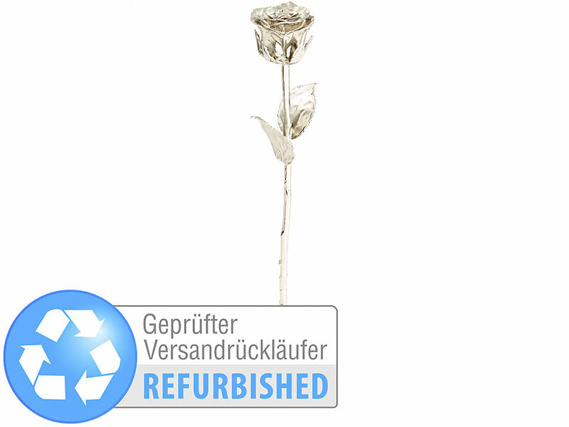 ; ECHTE Rosen vergoldet, Infinity-Rosen ECHTE Rosen vergoldet, Infinity-Rosen ECHTE Rosen vergoldet, Infinity-Rosen 