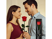 ; Damen Halsketten mit Blattgold-Anhängern Damen Halsketten mit Blattgold-Anhängern Damen Halsketten mit Blattgold-Anhängern