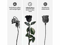 ; ECHTE Rosen vergoldet ECHTE Rosen vergoldet 