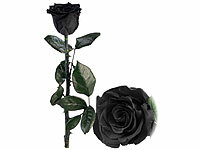 St. Leonhard Echte Rose, Infinity-Rosen zum Muttertag; ECHTE Rosen vergoldet ECHTE Rosen vergoldet 