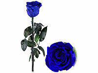 St. Leonhard Ewige Rose Box, Infinity-Rose zum Muttertag