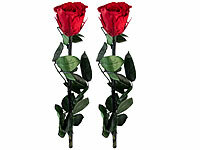 ; Damen Halsketten mit Blattgold-Anhängern Damen Halsketten mit Blattgold-Anhängern Damen Halsketten mit Blattgold-Anhängern Damen Halsketten mit Blattgold-Anhängern 