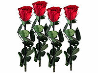 ; Damen Halsketten mit Blattgold-Anhängern Damen Halsketten mit Blattgold-Anhängern Damen Halsketten mit Blattgold-Anhängern