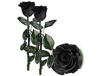 St. Leonhard Ewige Rose Box, Infinity-Rose für den Jahrestag; ECHTE Rosen vergoldet ECHTE Rosen vergoldet ECHTE Rosen vergoldet 