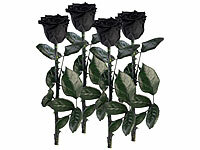St. Leonhard Infinity-Rose Box, Infinity-Rose zum Heiratsantrag