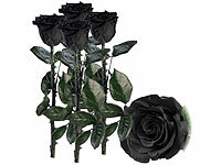 ; ECHTE Rosen vergoldet ECHTE Rosen vergoldet ECHTE Rosen vergoldet 