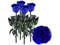 St. Leonhard Ewige Rosen Box, Ewige Rose zum Candlelight-Dinner